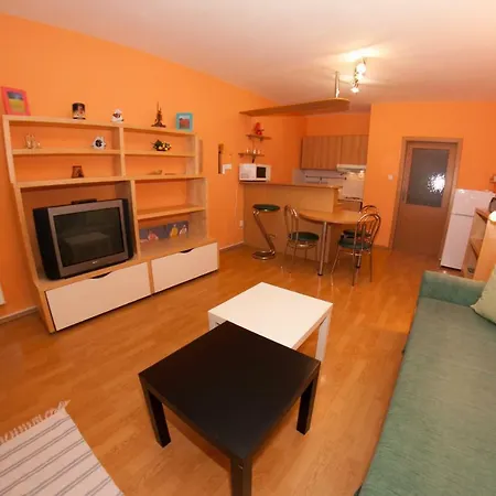 アパート Family Spiezovec ドノヴァリ