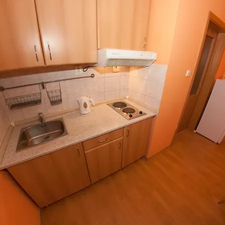 Family Spiezovec アパート *